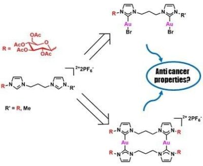 Synthesis and Biological Studies on Dinuclear Gold(I) Complexes with Di-(N-Heterocyclic Carbene) Ligands Functionalized with Carbohydrates