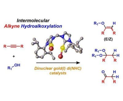 Hydroalkoxylation of Terminal and Internal Alkynes Catalyzed by Dinuclear Gold(I) Complexes with Bridging Di(N-Heterocyclic Carbene) Ligands