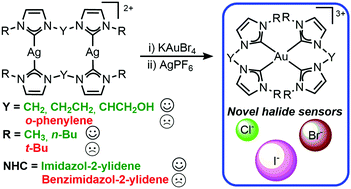 New Homoleptic Gold Carbene Complexes via Ag-Au Transmetalation: Synthesis and Application of the [Au(diNHC)2]3+ Cations as 1H NMR and UV-vis Halides Sensors