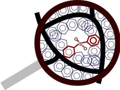 Effect of the Sulfonation on the Swollen State Morphology of Styrenic Cross-Linked Polymers