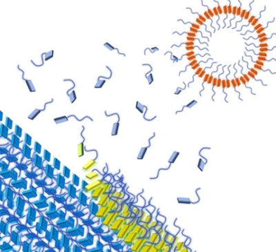 Solvent‐Driven Supramolecular Wrapping of Self‐Assembled Structures