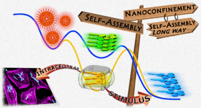 Smart Nanocages as a Tool for Controlling Supramolecular Aggregation
