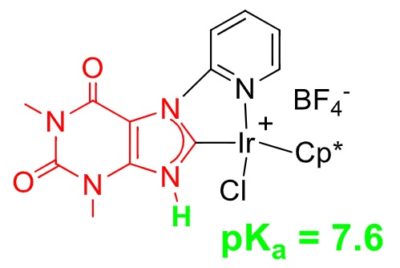 Coordination chemistry of Ir with chelating ligands containing a xanthine-derived, protic N-heterocyclic carbene (NHC) moiety