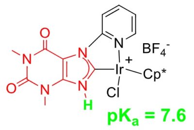Coordination chemistry of Ir with chelating ligands containing a xanthine-derived, protic N-heterocyclic carbene (NHC) moiety