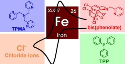 Electrochemical Investigation of Iron-Catalyzed Atom Transfer Radical Polymerization